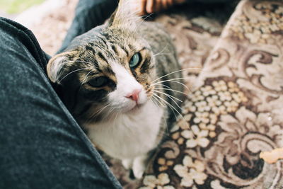 Cropped image of person with cat at home