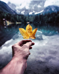 Cropped image of person holding autumn leaf