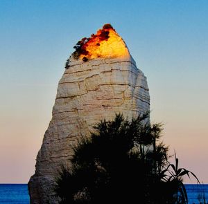 Low angle view of tree against sky during sunset
