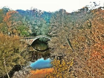 Scenic view of river in forest against sky