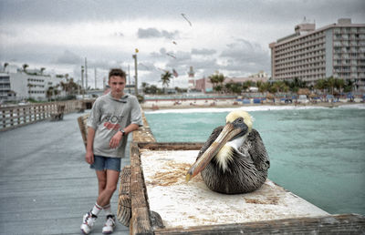 Man looking at pelican on pier railing over sea in city