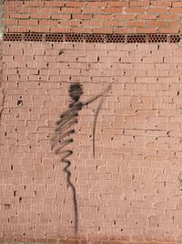 Full frame shot of tiled floor