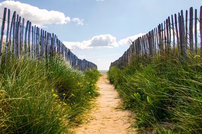 Panoramic view of wooden posts on field against sky