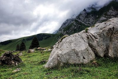 Scenic view of field against sky