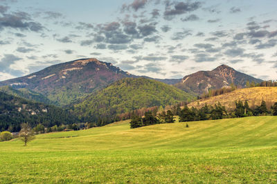 Scenic view of landscape and mountains against sky