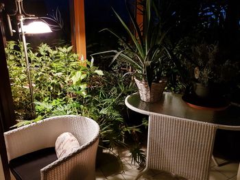 High angle view of potted plants on table at restaurant