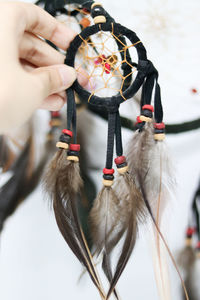Close-up of hand holding feather