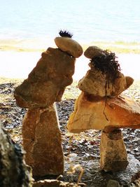 View of birds on rock at beach