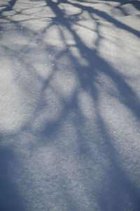 High angle view of snow covered land