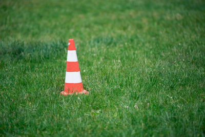 Traffic cone on grass