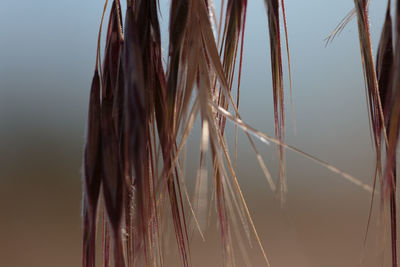 Close-up low angle view of sky