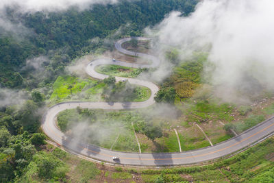 High angle view of road amidst trees