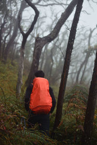 Climbing mount bawakaraeng, indonesia