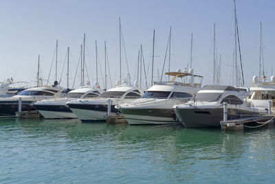 Sailboats moored in harbor