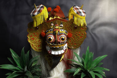 Close-up of mask on plant against wall