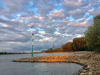 Birds flying over river against sky