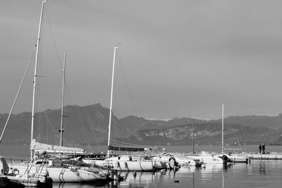 Sailboats moored in harbor against sky