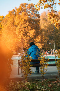 Rear view of man sitting in park during autumn