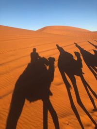 Shadow of people riding on sand