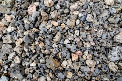 High angle view of pebbles in the rain