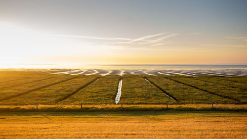 Scenic view of field against sky during sunset