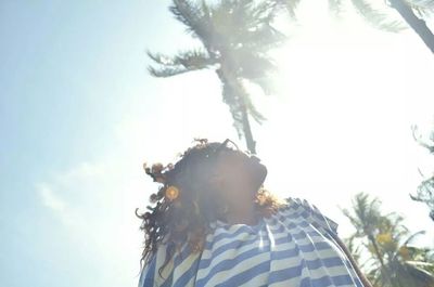 Low angle view of palm trees