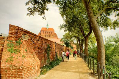 People walking on street amidst trees against sky