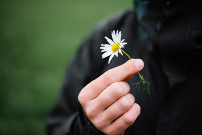 Midsection of person holding flowering plant