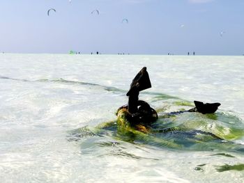 View of birds in sea against sky