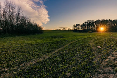 Scenic view of field against sky during sunset