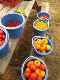 High angle view of fruits in bowl