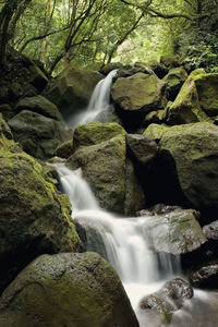 Low angle view of water falling through rocks in forest