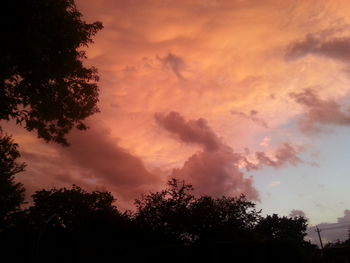 Low angle view of silhouette trees against orange sky