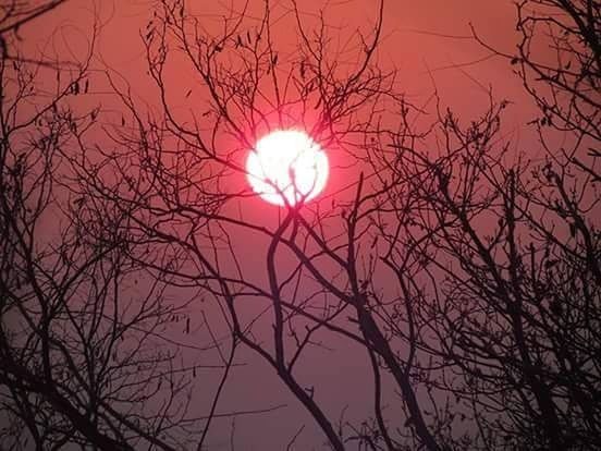 LOW ANGLE VIEW OF SILHOUETTE BARE TREE AGAINST SUNSET