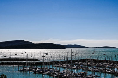 Sailboats moored in sea against clear blue sky