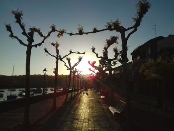 Road by trees in city against sky