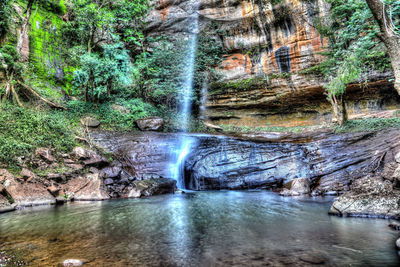 Waterfall in forest