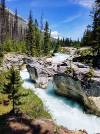 Scenic view of waterfall in forest against sky