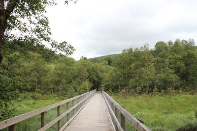 Footpath leading towards trees