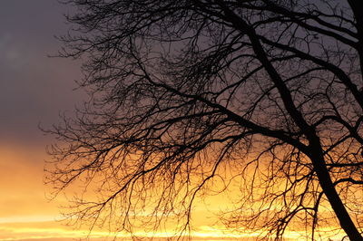 Silhouette bare tree against sky during sunset