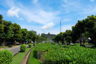 Trees in park against sky