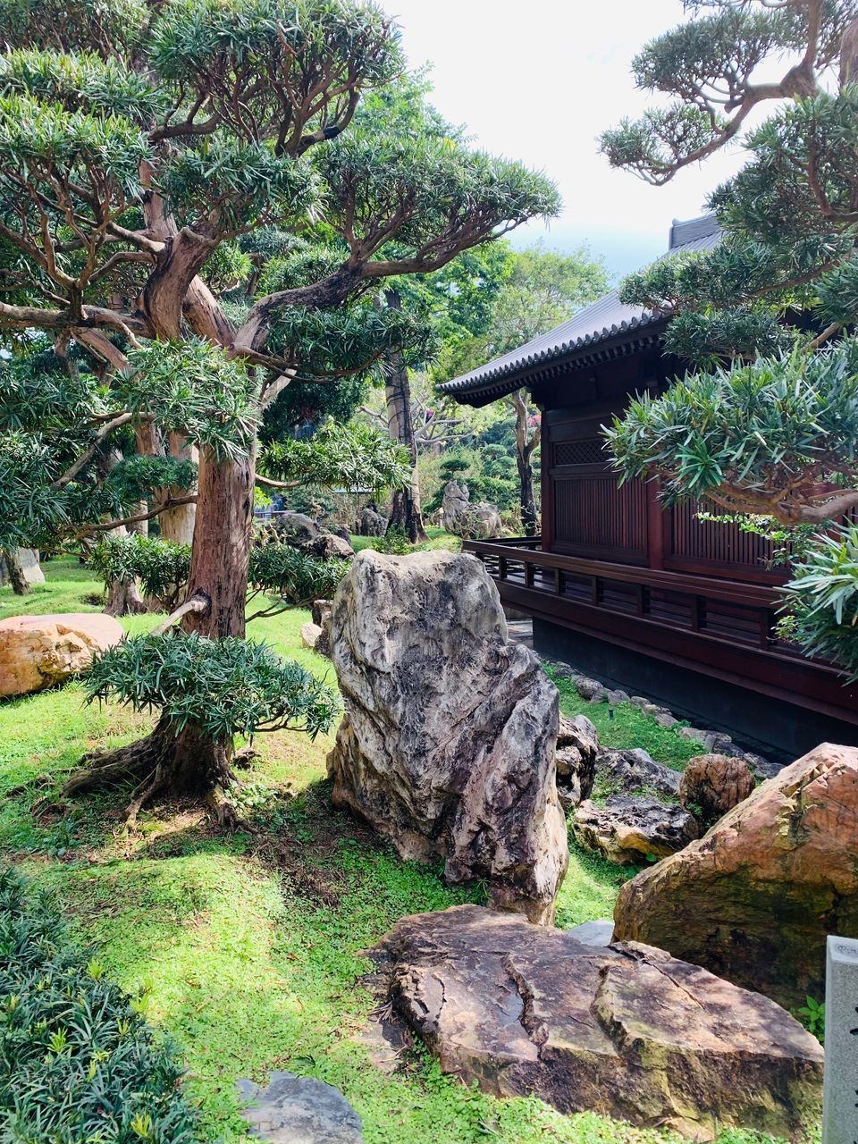 STONE WALL BY BUILDING AND TREES