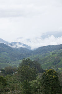 Scenic view of landscape against sky