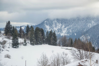 Scenic view of snow covered mountains against sky