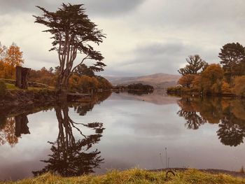 Scenic view of lake by trees against sky