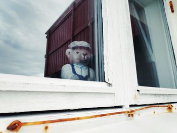 Low angle view of man looking through window
