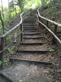 Staircase in forest