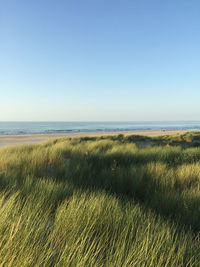 Scenic view of sea against clear sky