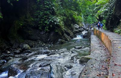 River flowing through rocks in forest