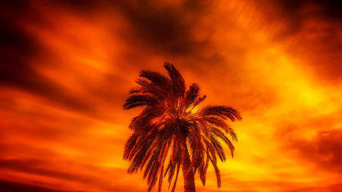 Low angle view of silhouette palm tree against romantic sky